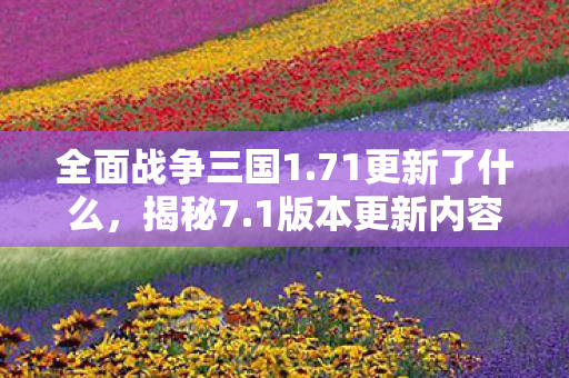 全面战争三国1.71更新了什么，揭秘7.1版本更新内容，全新特性与改进一览