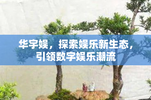 华宇娱,探索娱乐新生态,引领数字娱乐潮流 华宇娱,探索娱乐新生态,引领数字娱乐潮流