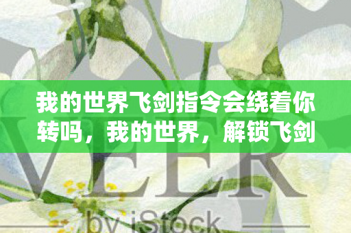 我的世界飞剑指令会绕着你转吗，我的世界，解锁飞剑指令，畅游奇幻世界