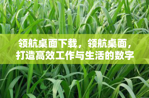 领航桌面下载，领航桌面，打造高效工作与生活的数字平台