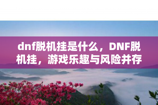 dnf脱机挂是什么，DNF脱机挂，游戏乐趣与风险并存