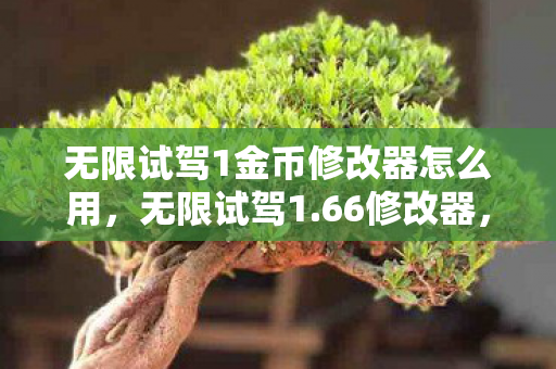 无限试驾1金币修改器怎么用，无限试驾1.66修改器，解锁驾驶乐趣的终极工具