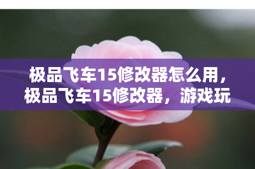 极品飞车15修改器怎么用，极品飞车15修改器，游戏玩家的秘密武器