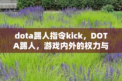 dota踢人指令kick，DOTA踢人，游戏内外的权力与责任
