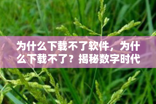 为什么下载不了软件，为什么下载不了？揭秘数字时代的下载难题