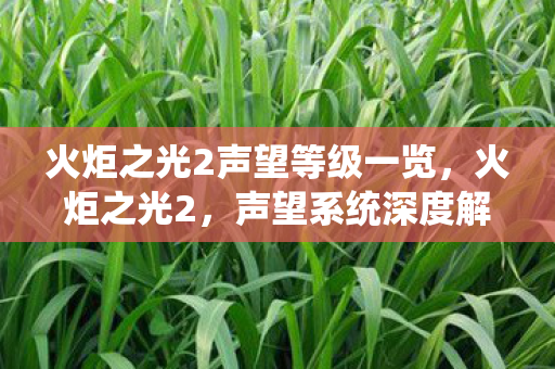 火炬之光2声望等级一览，火炬之光2，声望系统深度解析