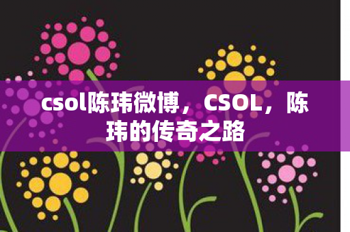 csol陈玮微博，CSOL，陈玮的传奇之路