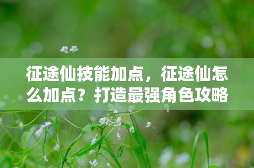 征途仙技能加点，征途仙怎么加点？打造最强角色攻略