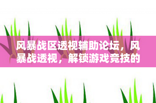 风暴战区透视辅助论坛，风暴战透视，解锁游戏竞技的深层奥秘