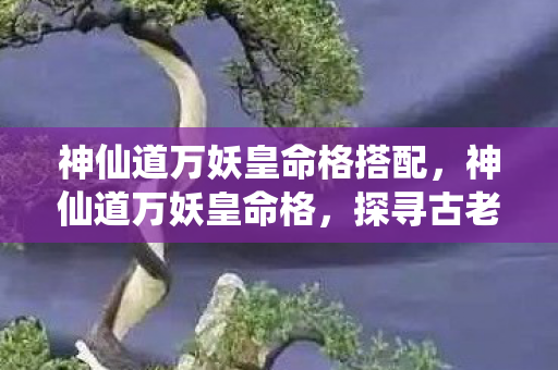 神仙道万妖皇命格搭配，神仙道万妖皇命格，探寻古老传说中的神秘力量