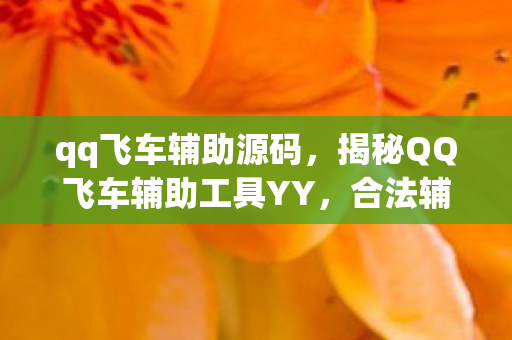 qq飞车辅助源码，揭秘QQ飞车辅助工具YY，合法辅助还是灰色地带？
