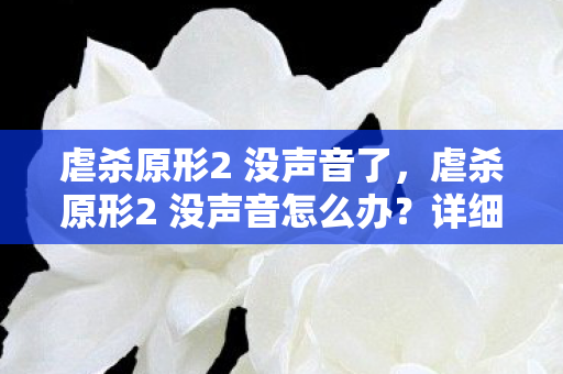 虐杀原形2 没声音了，虐杀原形2 没声音怎么办？详细解决方案分享