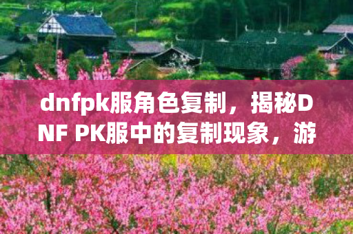 dnfpk服角色复制，揭秘DNF PK服中的复制现象，游戏平衡与道德伦理的探讨