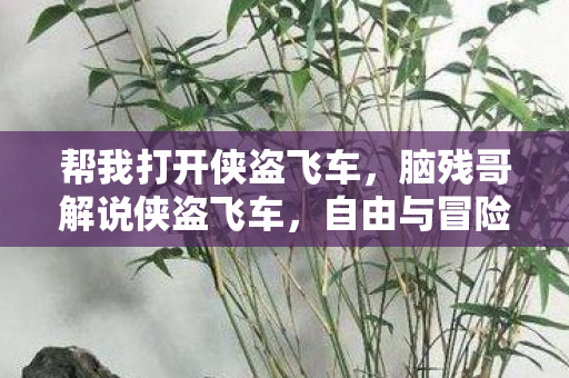 帮我打开侠盗飞车,脑残哥解说侠盗飞车,自由与冒险的极限之旅 帮我打开侠盗飞车,脑残哥解说侠盗飞车,自由与冒险的极限之旅