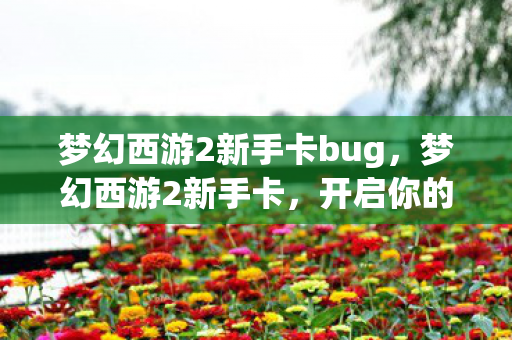 梦幻西游2新手卡bug，梦幻西游2新手卡，开启你的西游之旅