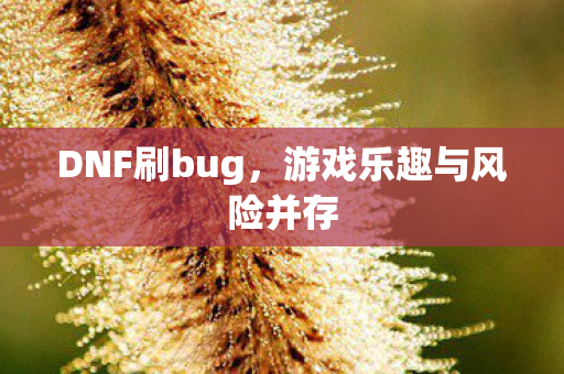 DNF刷bug，游戏乐趣与风险并存