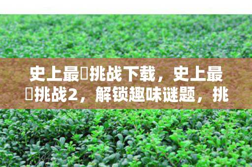 史上最囧挑战下载，史上最囧挑战2，解锁趣味谜题，挑战你的智商与笑点