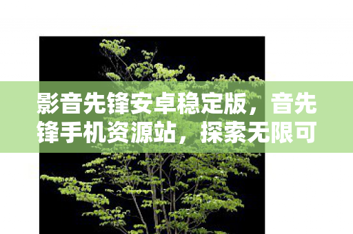 影音先锋安卓稳定版，音先锋手机资源站，探索无限可能的移动娱乐殿堂