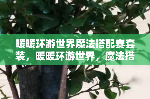 暖暖环游世界魔法搭配赛套装，暖暖环游世界，魔法搭配赛的挑战与魅力
