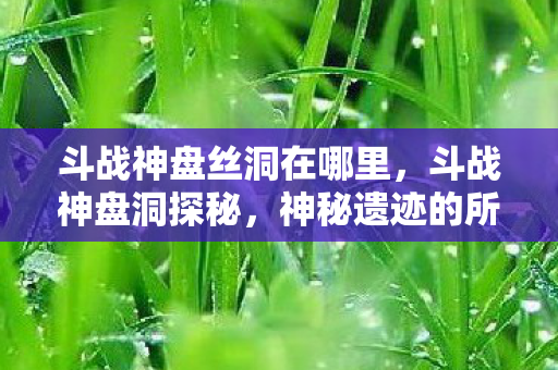 斗战神盘丝洞在哪里，斗战神盘洞探秘，神秘遗迹的所在地