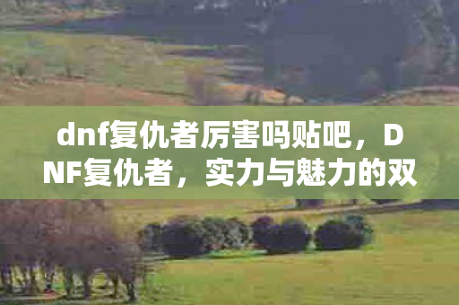 dnf复仇者厉害吗贴吧，DNF复仇者，实力与魅力的双重展现