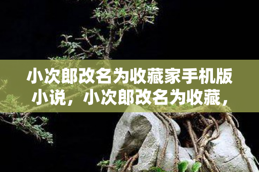小次郎改名为收藏家手机版小说,小次郎改名为收藏,一段传奇的延续 小次郎改名为收藏家手机版小说,小次郎改名为收藏,一段传奇的延续