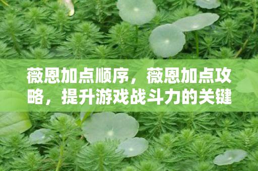 薇恩加点顺序，薇恩加点攻略，提升游戏战斗力的关键步骤