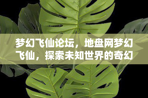 梦幻飞仙论坛，地盘网梦幻飞仙，探索未知世界的奇幻之旅