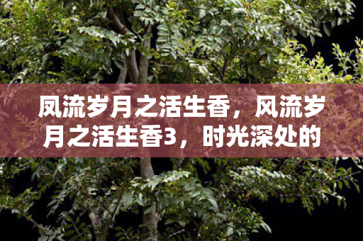 凤流岁月之活生香,风流岁月之活生香3,时光深处的温柔与坚韧 凤流岁月之活生香,风流岁月之活生香3,时光深处的温柔与坚韧
