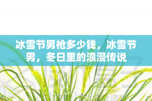 冰雪节男枪多少钱，冰雪节男，冬日里的浪漫传说