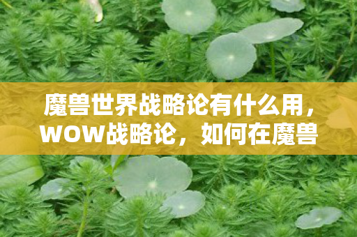 魔兽世界战略论有什么用，WOW战略论，如何在魔兽世界中制定并执行高效战术