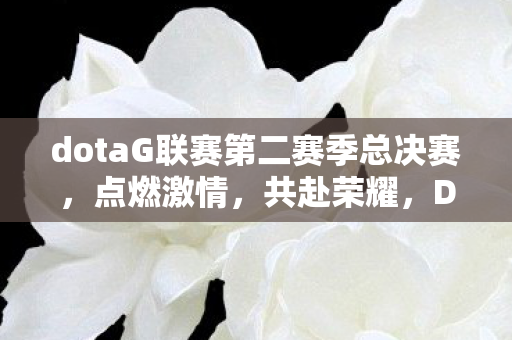 dotaG联赛第二赛季总决赛，点燃激情，共赴荣耀，DOTA G联赛全面解析