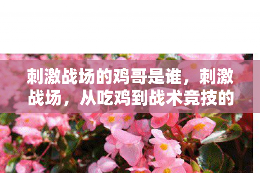 刺激战场的鸡哥是谁，刺激战场，从吃鸡到战术竞技的进化