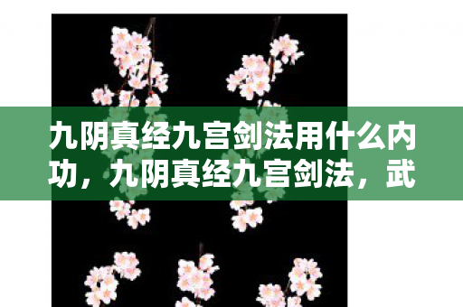 九阴真经九宫剑法用什么内功，九阴真经九宫剑法，武侠世界中的绝世剑法