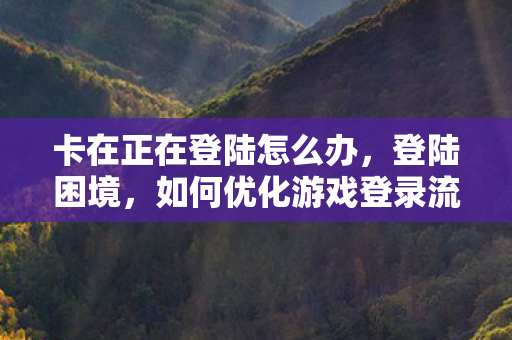 卡在正在登陆怎么办，登陆困境，如何优化游戏登录流程，提升用户体验
