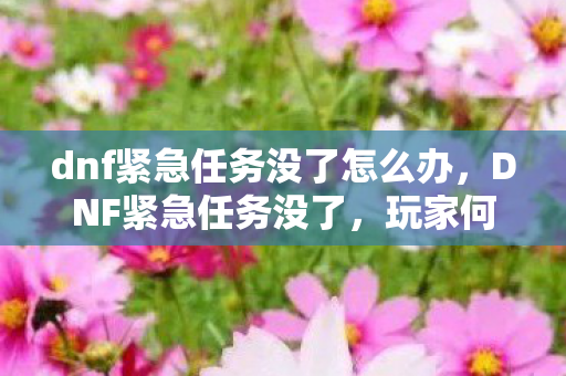 dnf紧急任务没了怎么办，DNF紧急任务没了，玩家何去何从？