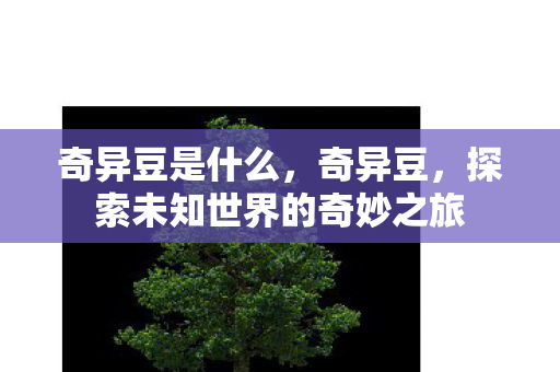 奇异豆是什么,奇异豆,探索未知世界的奇妙之旅 奇异豆是什么,奇异豆,探索未知世界的奇妙之旅