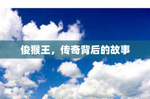 俊猴王，传奇背后的故事