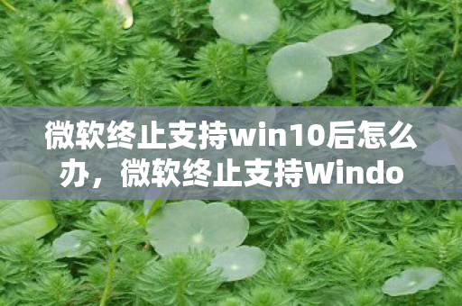 微软终止支持win10后怎么办，微软终止支持Windows 7，影响、后果及应对之策