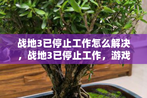 战地3已停止工作怎么解决，战地3已停止工作，游戏崩溃的解决之道