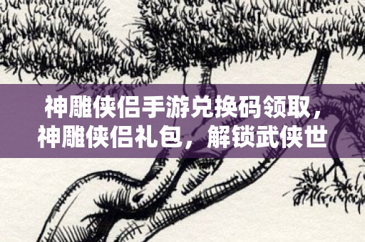 神雕侠侣手游兑换码领取，神雕侠侣礼包，解锁武侠世界的神秘钥匙