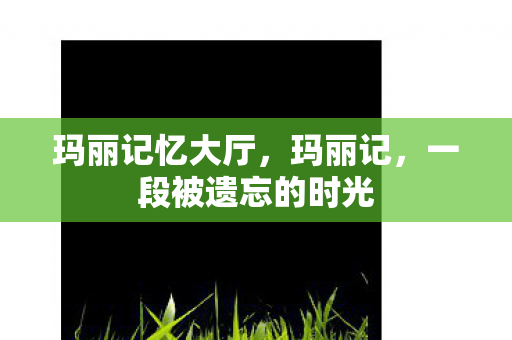 玛丽记忆大厅，玛丽记，一段被遗忘的时光