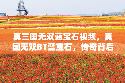 真三国无双蓝宝石视频，真国无双BT蓝宝石，传奇背后的故事