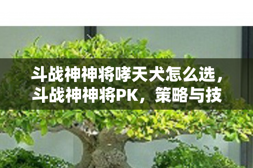斗战神神将哮天犬怎么选，斗战神神将PK，策略与技巧的深度解析