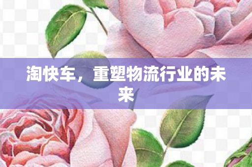 淘快车,重塑物流行业的未来 淘快车,重塑物流行业的未来
