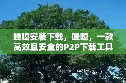 哇嘎安装下载，哇嘎，一款高效且安全的P2P下载工具安装指南