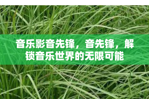 音乐影音先锋，音先锋，解锁音乐世界的无限可能