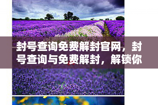 封号查询免费解封官网,封号查询与免费解封,解锁你的数字生活 封号查询免费解封官网,封号查询与免费解封,解锁你的数字生活
