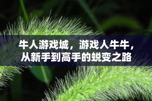 牛人游戏城，游戏人牛牛，从新手到高手的蜕变之路