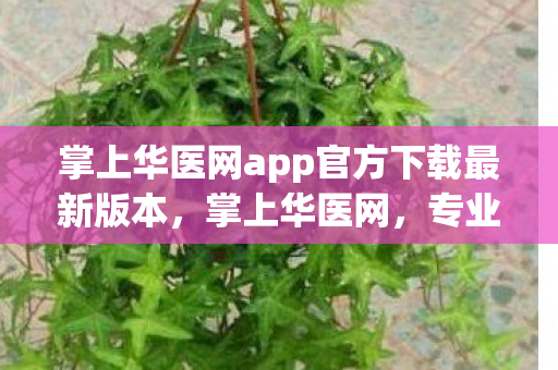 掌上华医网app官方下载最新版本，掌上华医网，专业医疗知识，触手可及